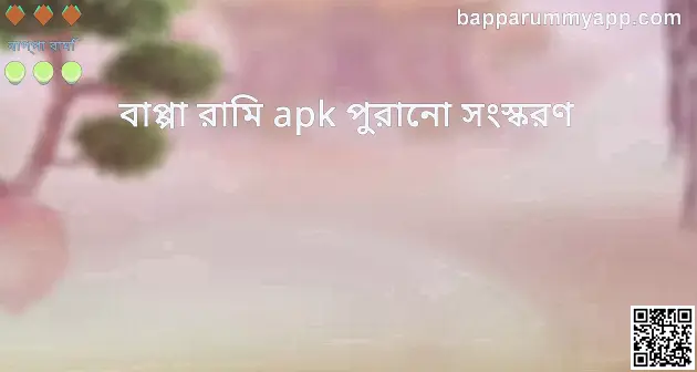 bappa rummy apk old version review