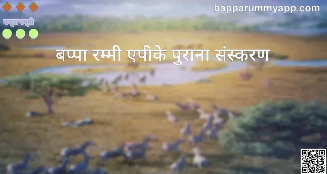 bappa rummy apk old version review